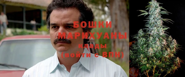 apvp Дедовск
