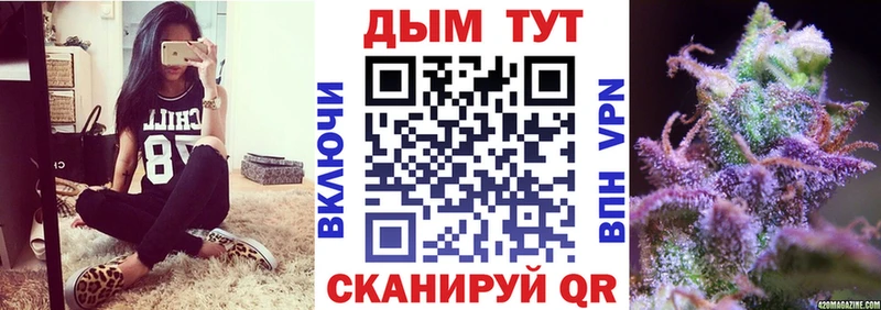 Бошки марихуана Amnesia  купить закладку  Барабинск 